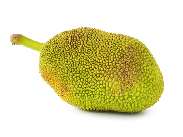  바탕 에 있는 잭프루트 의 클로즈업