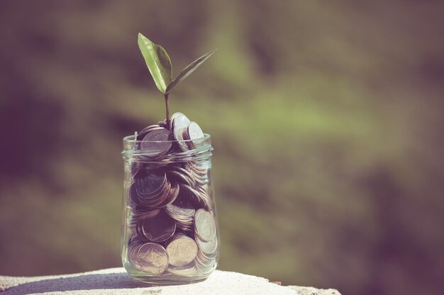 Close-up of jar