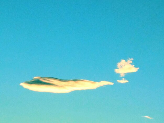 Close-up of jellyfish against blue sky