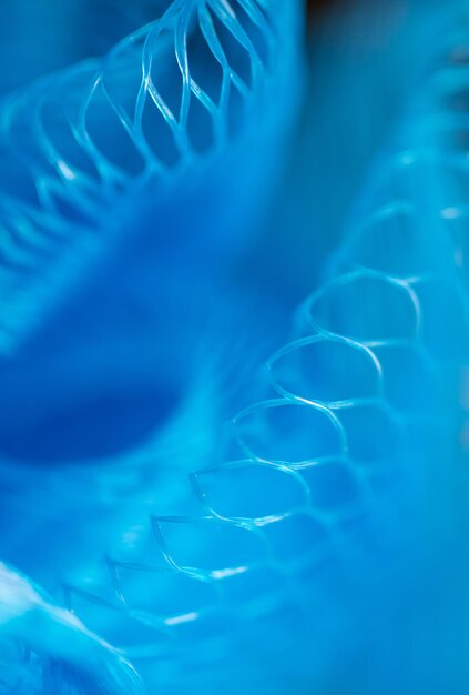 Close-up of jellyfish swimming in sea