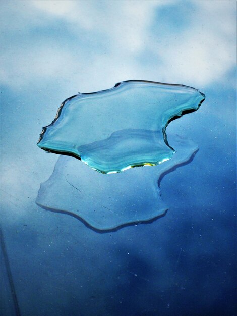 Close-up of jellyfish swimming in water