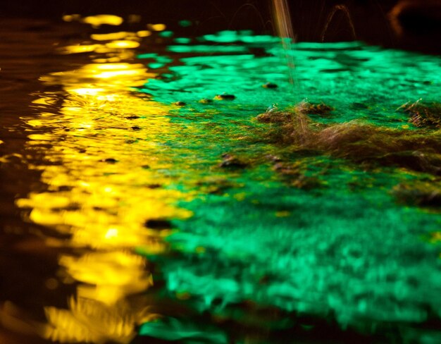 Close-up of jellyfish in water