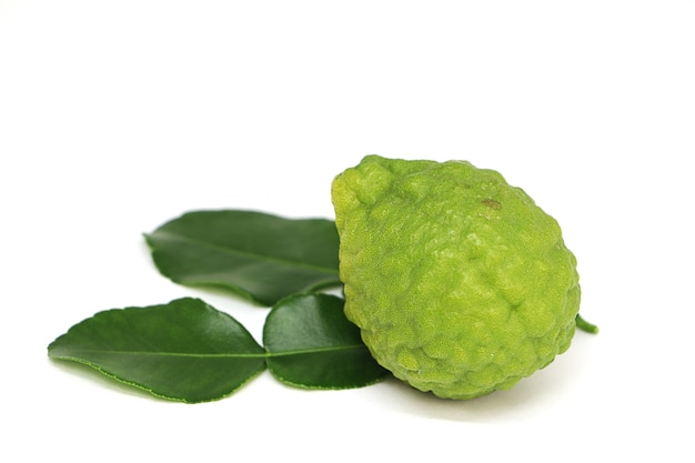 Close up a kaffir lime isolated on white background