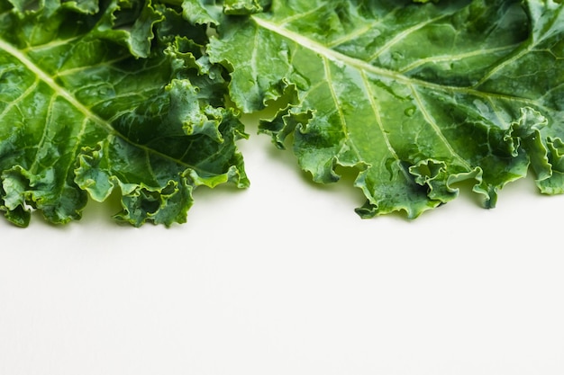 Primo piano di foglie di cavolo nero su sfondo bianco copia spazio per il testo