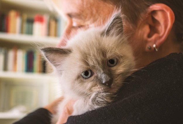 Foto prossimo piano del gattino