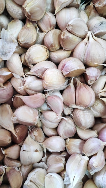 Close-up knoflookbollen