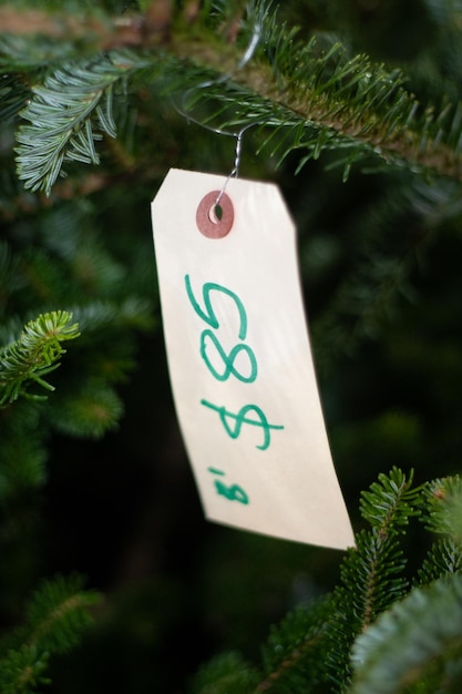 Photo close-up of label on christmas tree