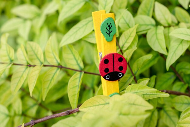 Foto prossimo piano della coccinella sulla pianta