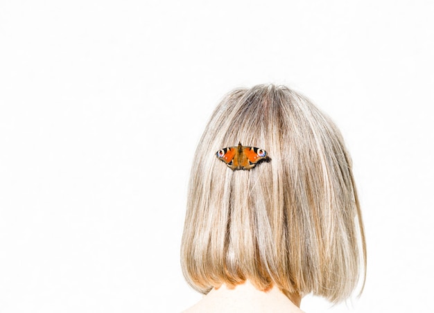 Close-up of ladybug on white background