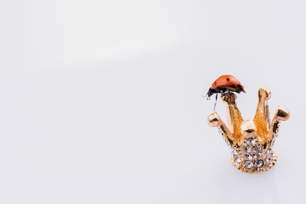 Close-up of ladybug over white background