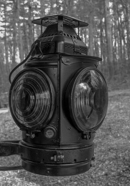 Foto prossimo piano di una lampada in foresta