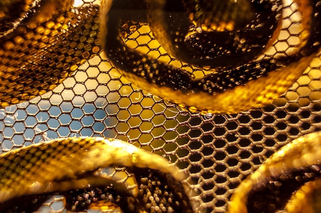 close-up of lamp shade