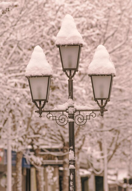 Photo close-up of lamp on street light