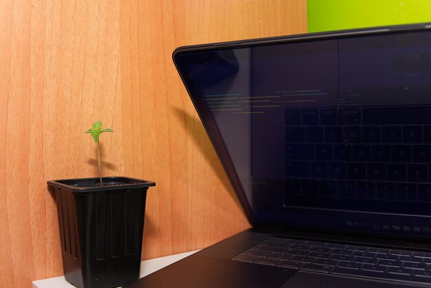 Close-up of laptop on table