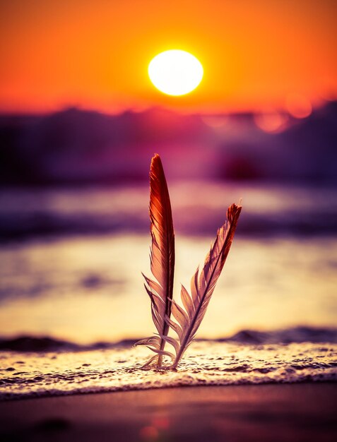 Close-up of leaf on beach against sky during sunset