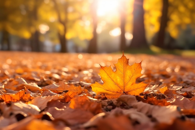 a close up of a leaf on the ground