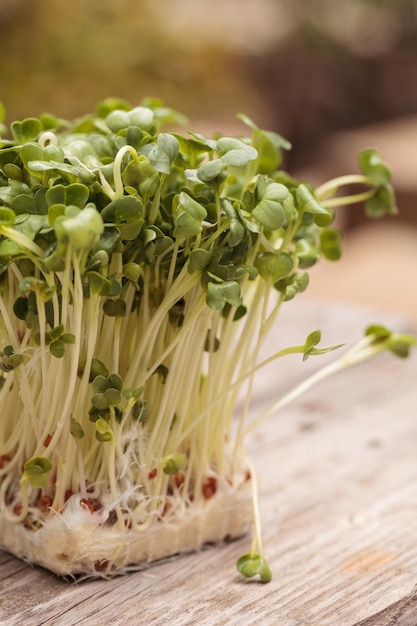 close-up of leaf vegetable on table