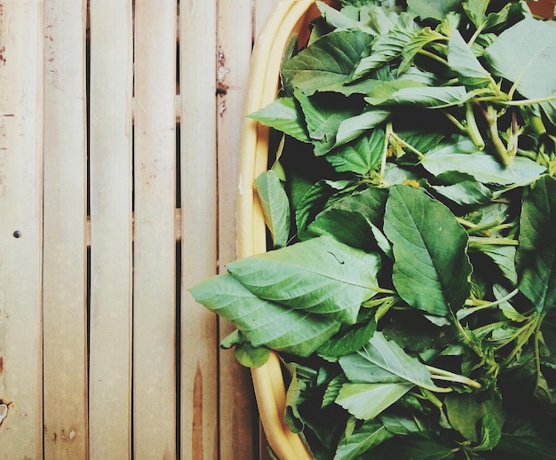Close-up of leaf vegetables in container on table
