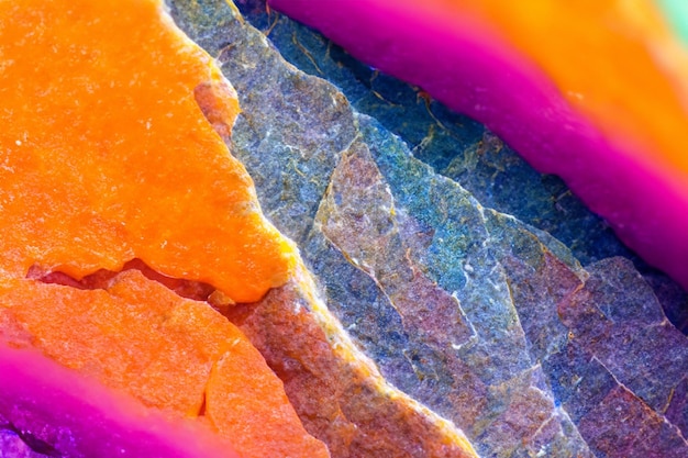 A close up of a leaf with oranges and purple and pink colors.