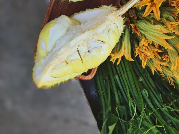 Photo close-up of leaf