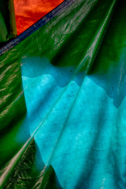 Photo close-up of leaf