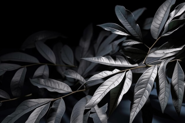 A close up of a leafy plant on a black background generative AI