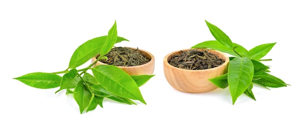 Close-up of leaves against white background