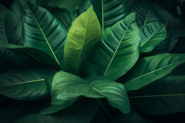 Close up of Leaves Ai generative