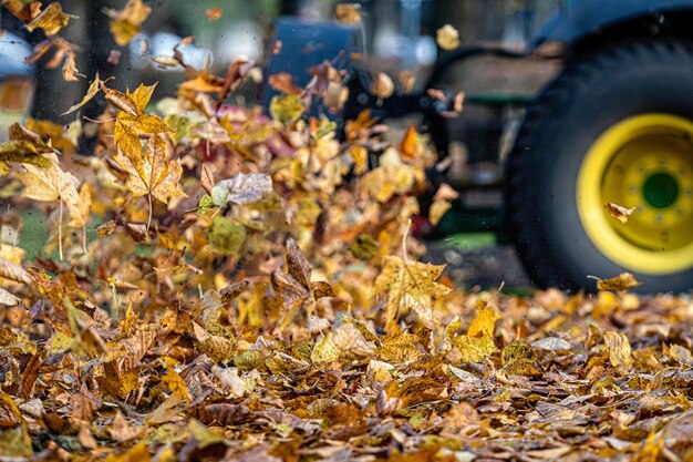 Photo close-up of leaves falling on field during autumn