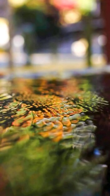 Foto close-up di foglie che galleggiano sull'acqua