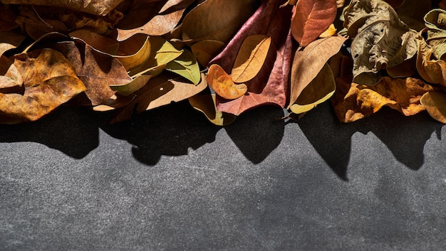 A close up of leaves on a table