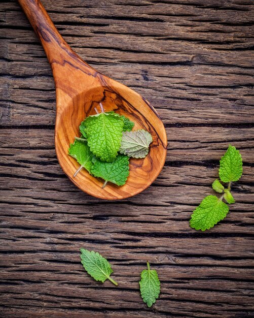 Foto close-up di foglie sul legno