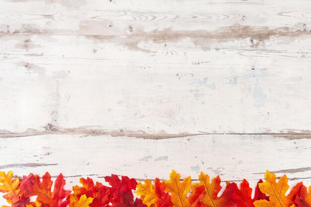 Photo close-up of leaves on wooden table