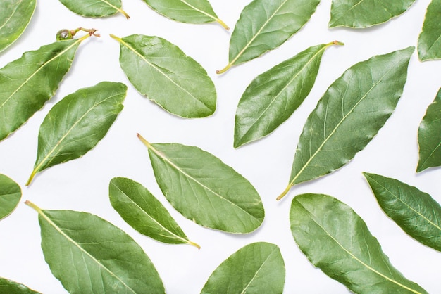 Close-up of leaves