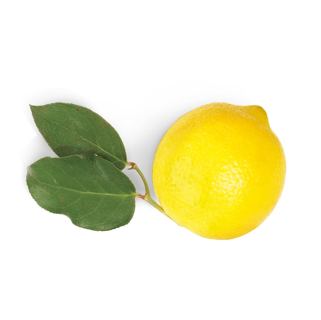 close-up of lemon slice against white background