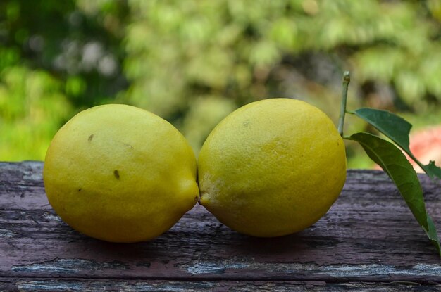 Foto close-up di limoni su tavola