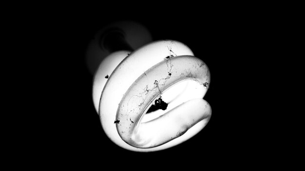 Photo close-up of light bulb against black background