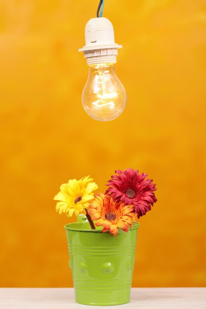 Foto close-up di una lampadina su fiori in vaso a tavola contro uno sfondo giallo