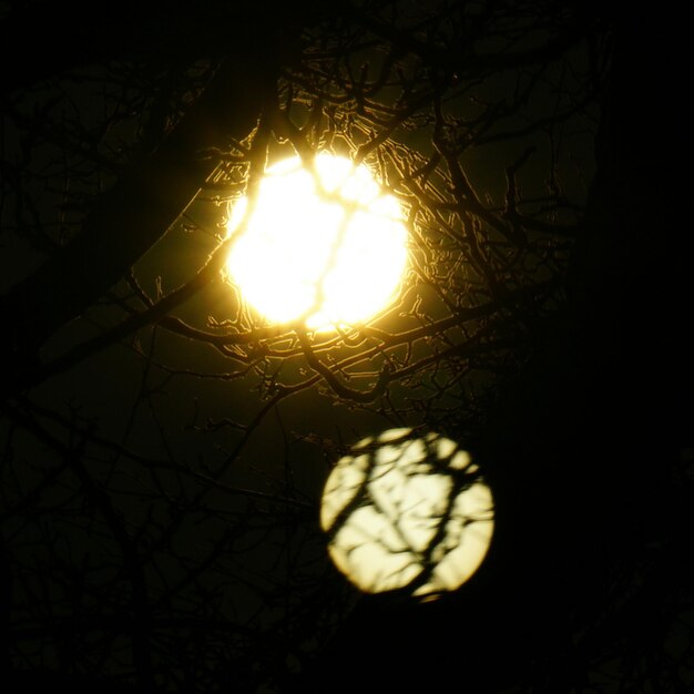 Photo close-up of light bulb at night