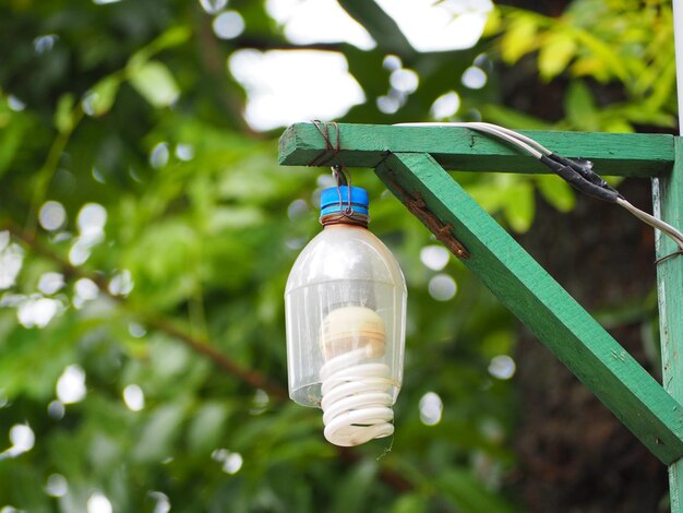 Close-up of light bulb