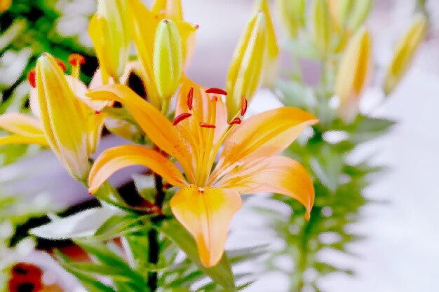 Photo close-up of lily blooming on plant