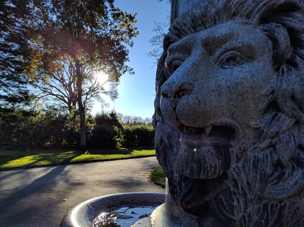 Foto close-up di una statua di leone nel parco durante una giornata di sole