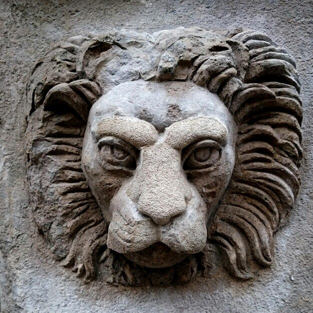 Foto close-up della statua del leone