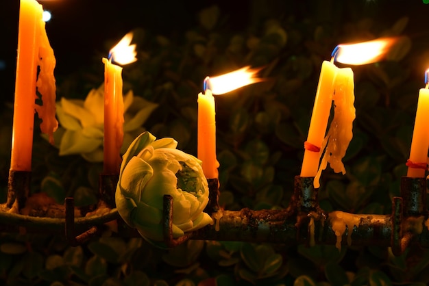 Photo close-up of lit candles on plant