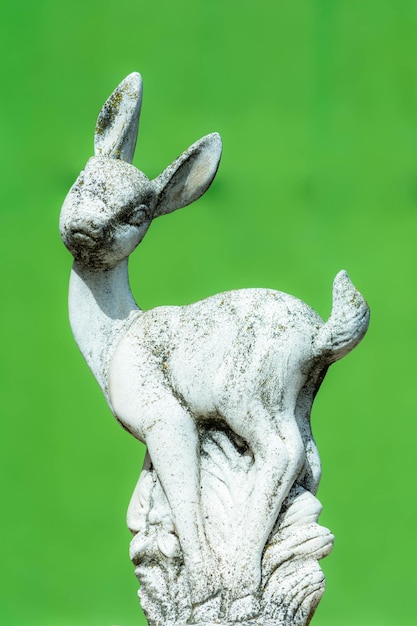 Foto prossimo piano della lucertola sulla statua