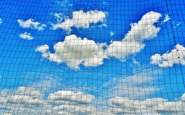 Close-up of lizard swimming in blue sky