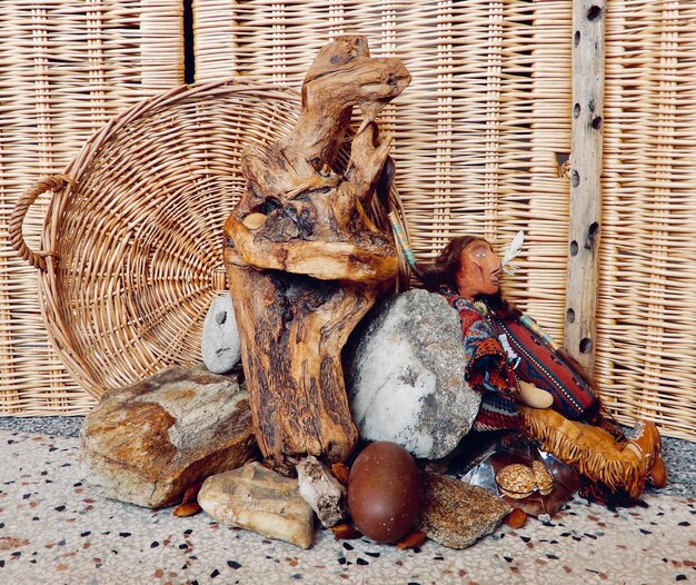 Foto close-up di una lucertola su un muro di legno