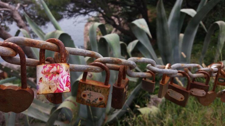 Photo 植物に対するチェーンのロックのクローズアップ