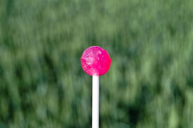 Photo close up of lollipop candy on field