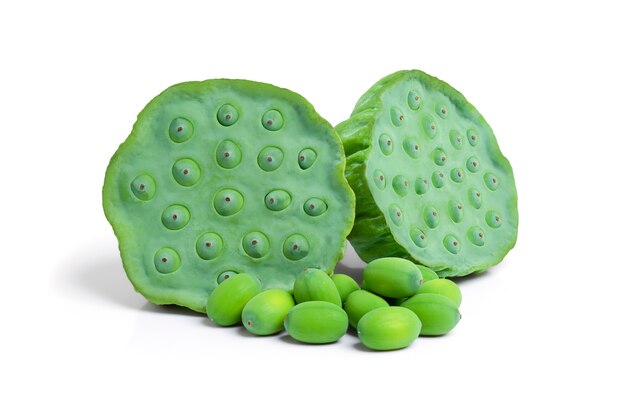 Close up of lotus seeds isolated on white background with clipping path.